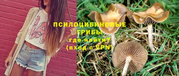 гашик Алексин