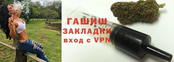 гашик Алексин