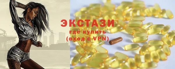гашик Алексин