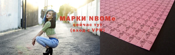 гашик Алексин