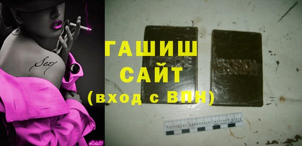 гашик Алексин