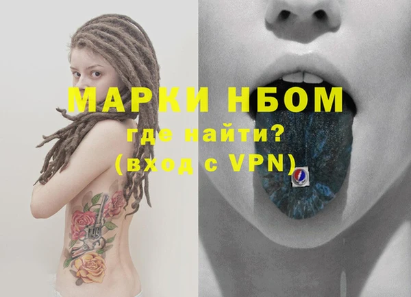 гашик Алексин