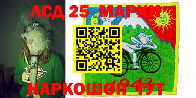 амф Дубна