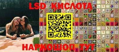 амф Донской