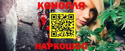 амф Донской