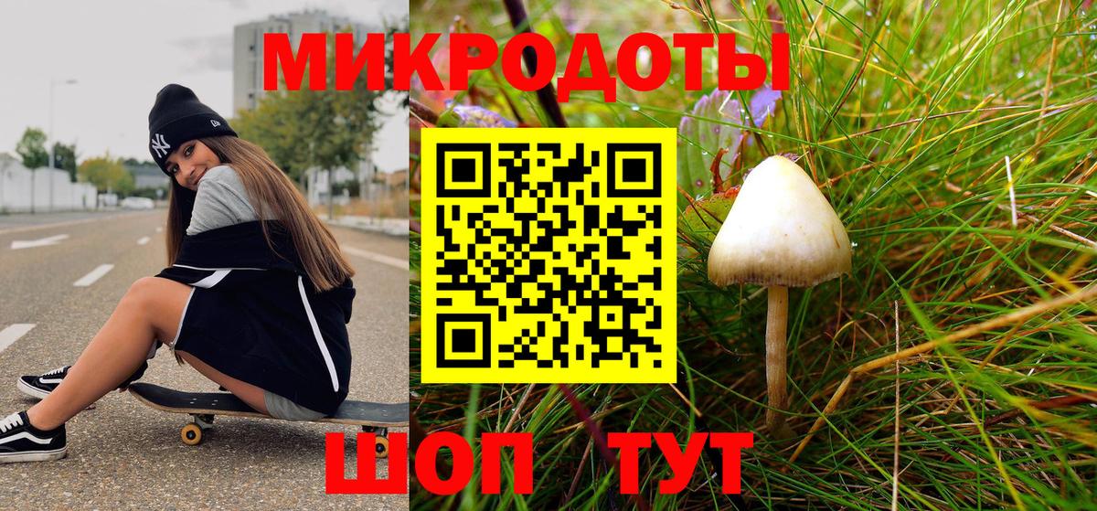 где найти наркотики  Галлюциногенные грибы Psilocybine cubensis  Вход с VPN  Владивосток 